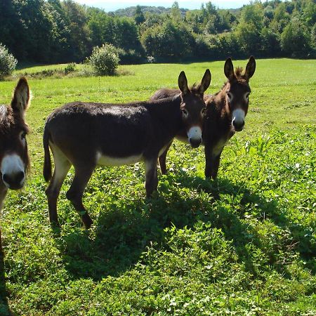 L'Oree Des Bois Dommartin-Les-Cuiseaux Exteriér fotografie